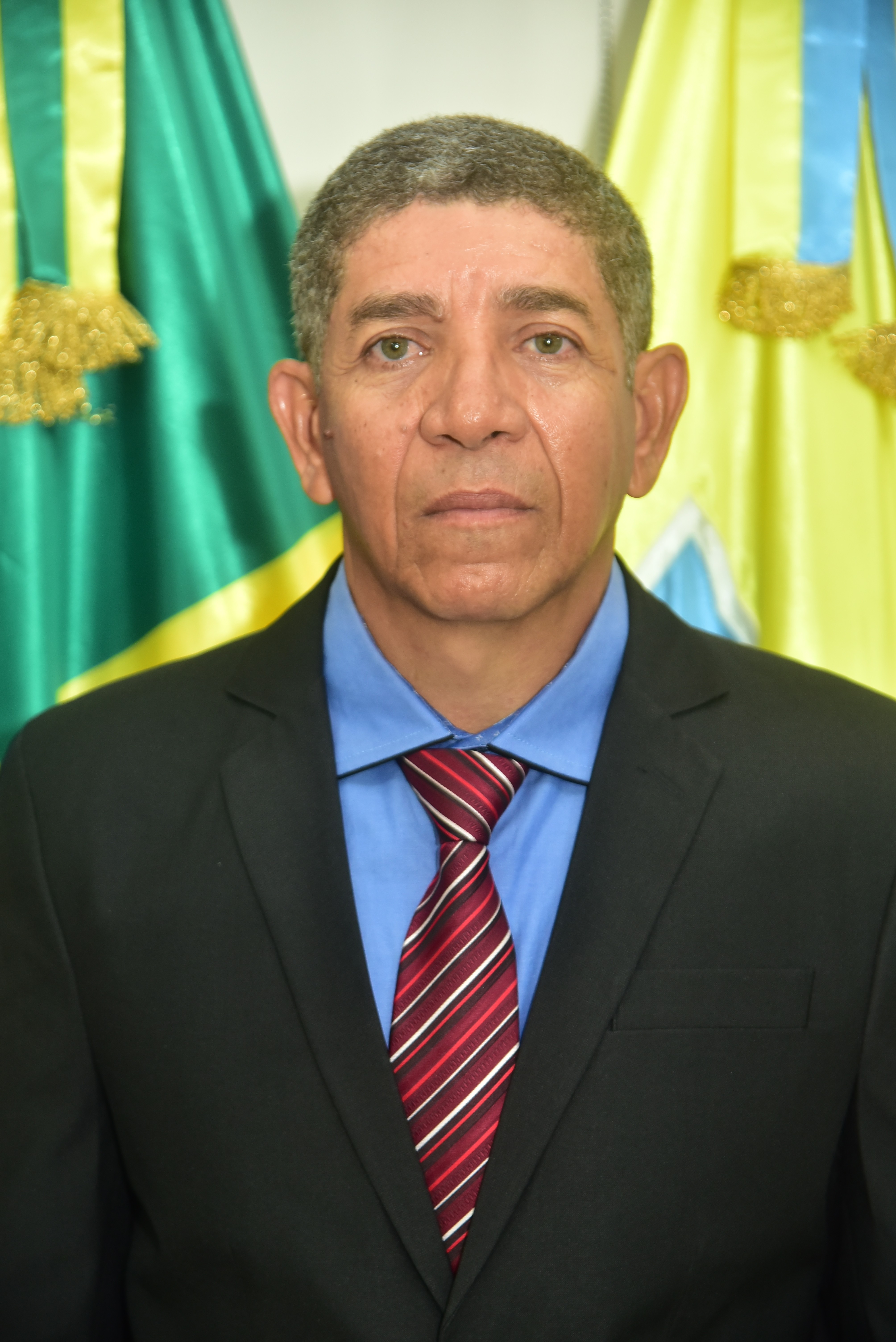 Vice - Presidente Divino Pereira Gomes